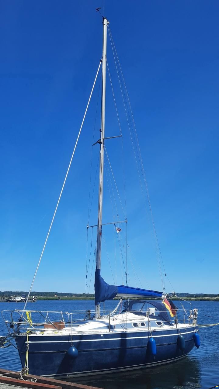 Skipper Arion 29