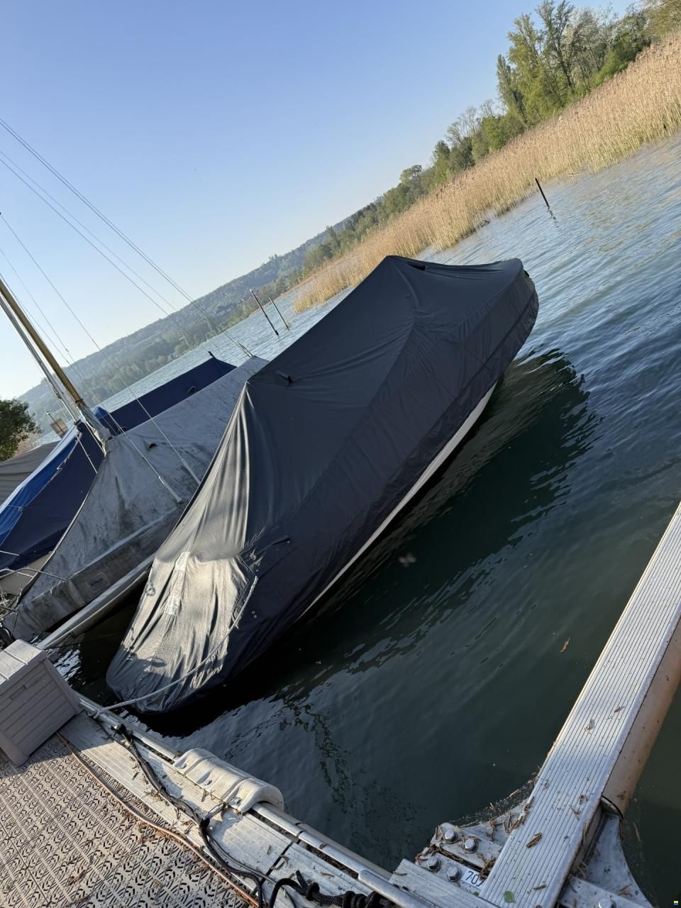Viper V203 Pure &ndash; 222 PS