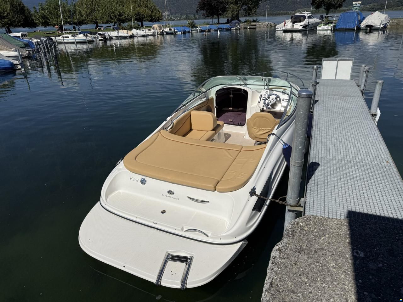 Viper V203 Pure &ndash; 222 PS