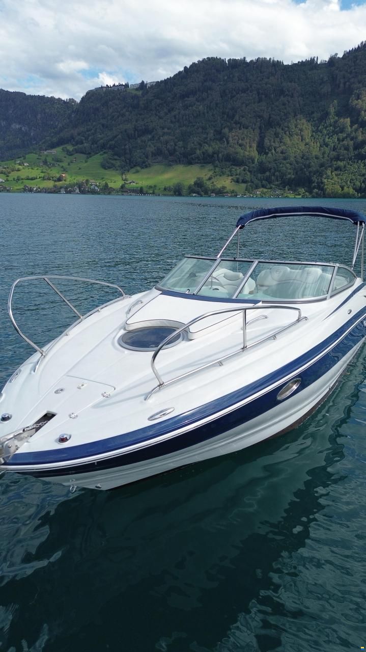 Crownline 255