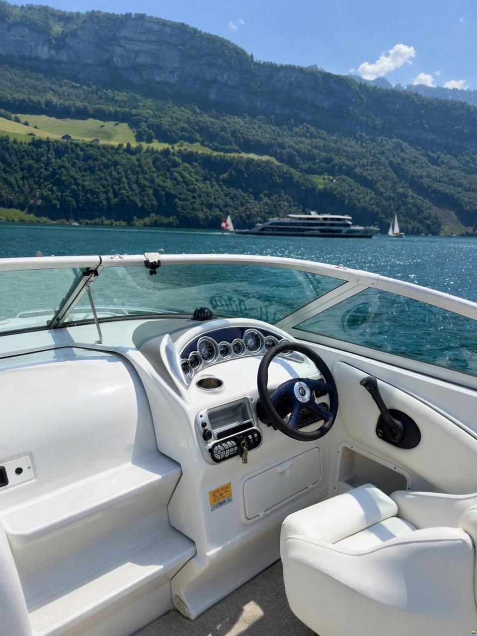 Crownline 26 Day Cruiser