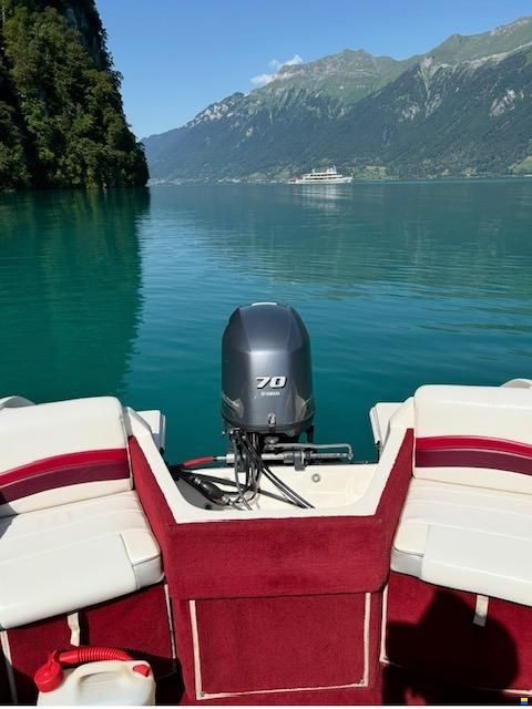 Campion Allante 485