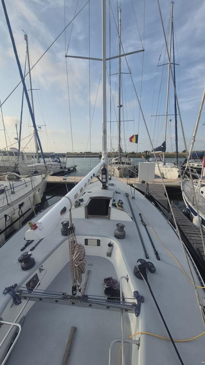 J Boats J/41