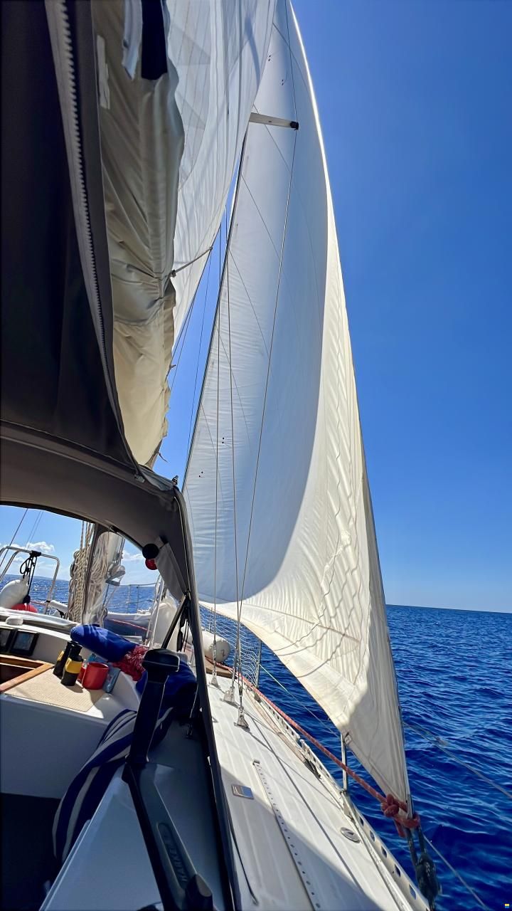 North Wind Mistral 40