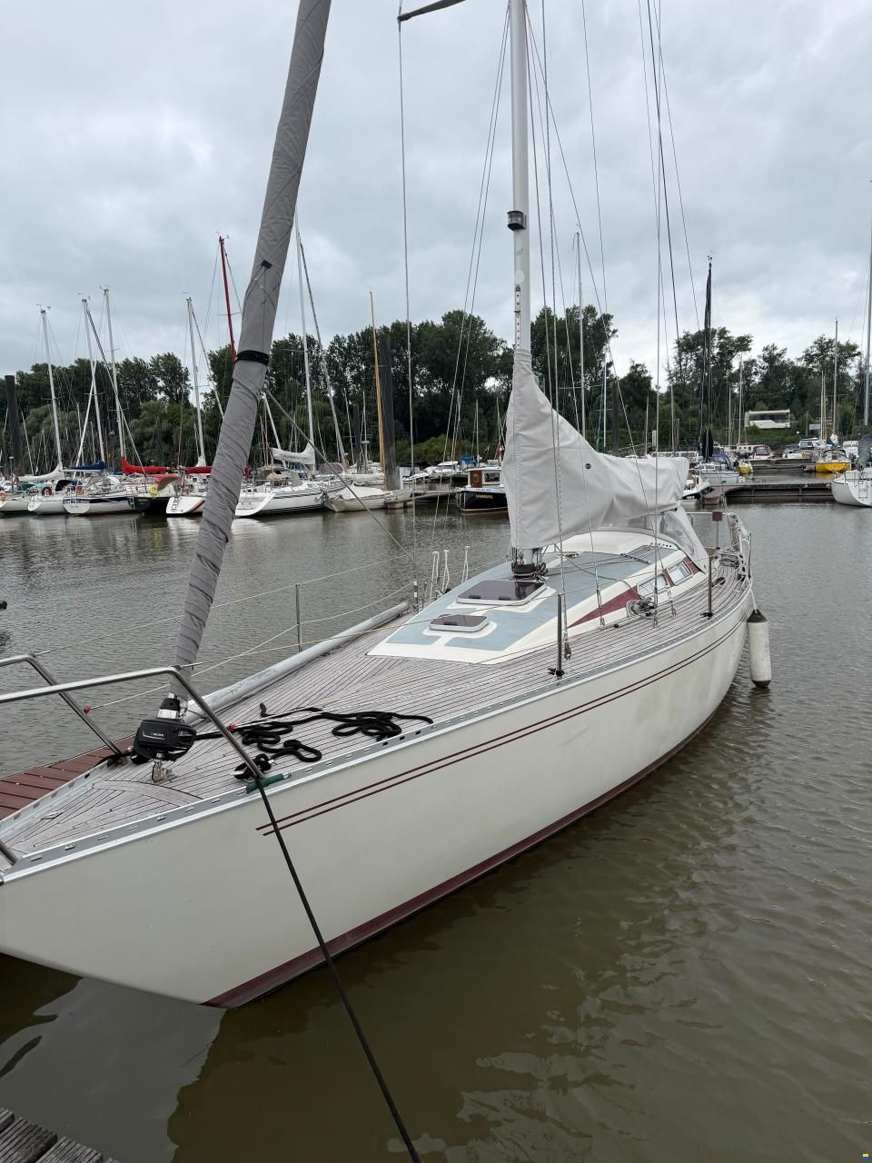 Luffe 37