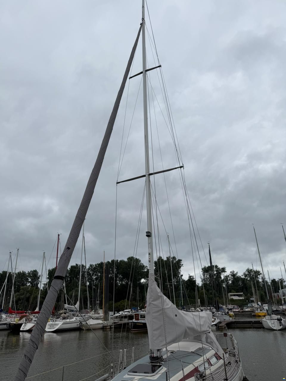 Luffe 37