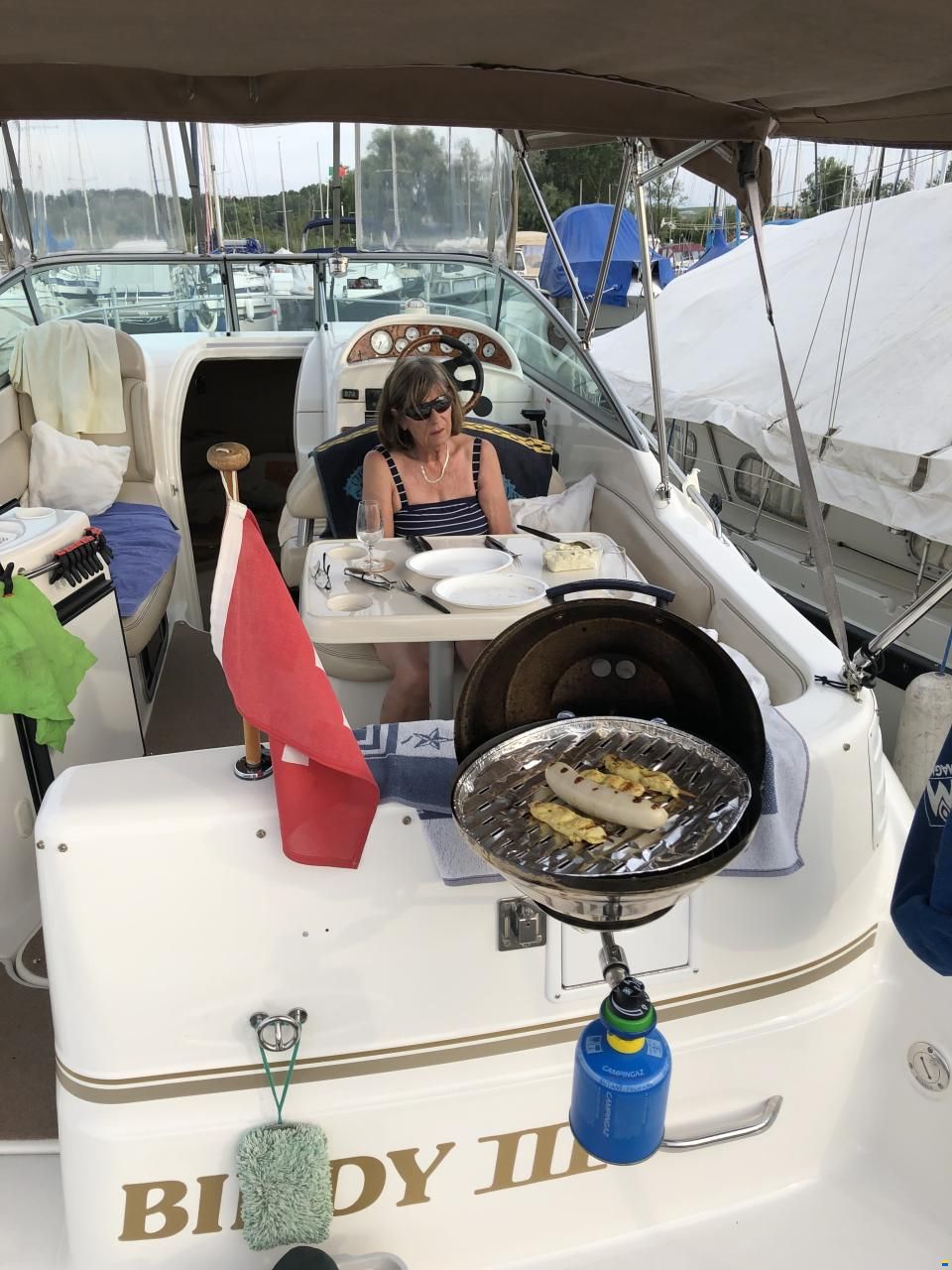 Larson Cabrio 274