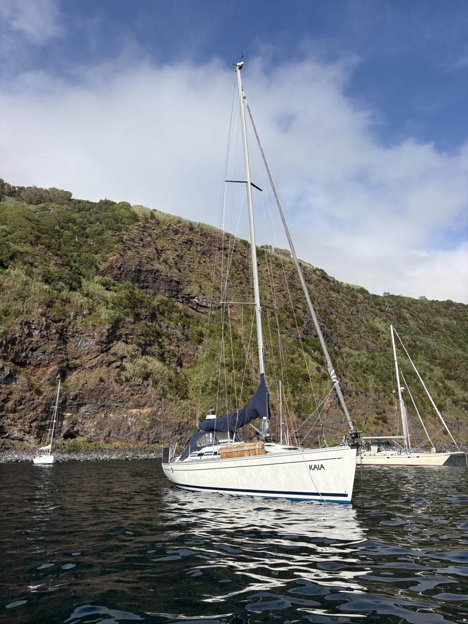 Elan 40