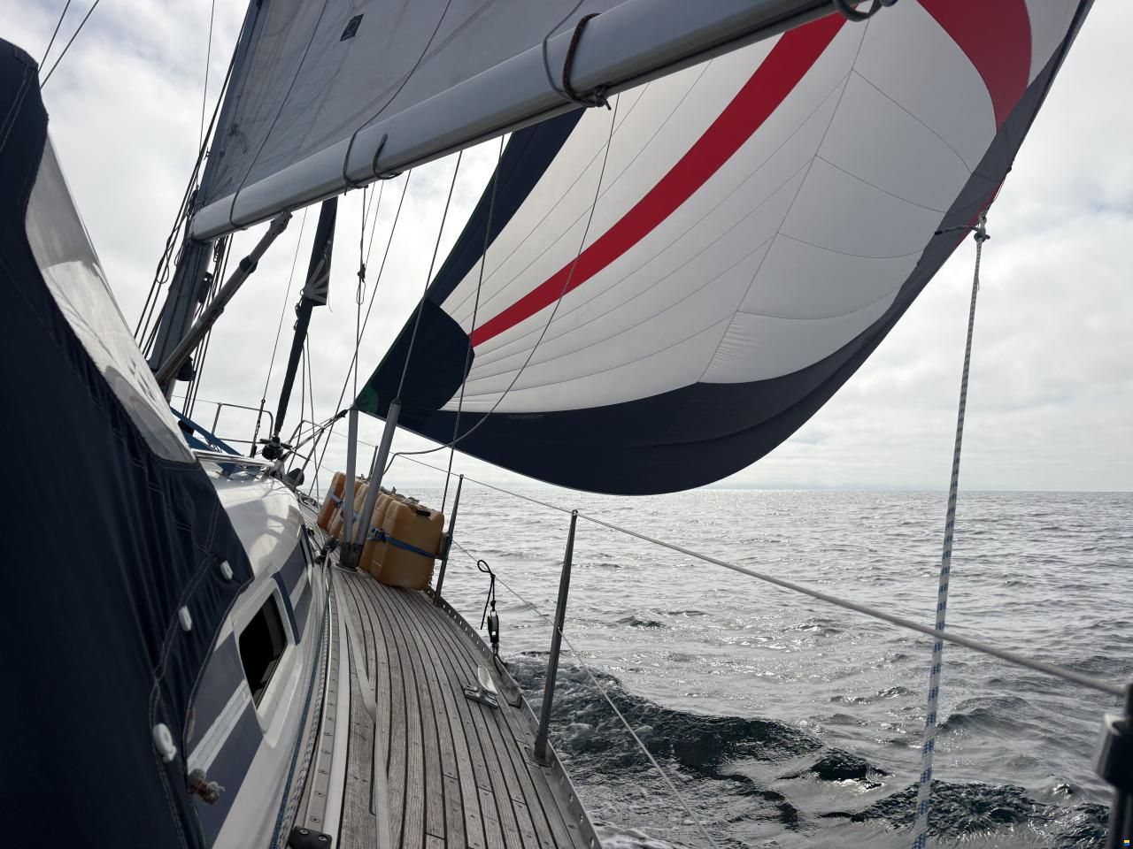 Elan 40