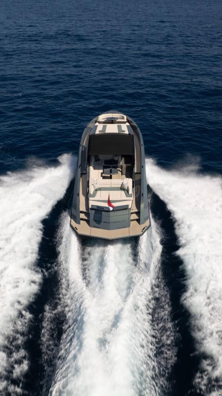 Vanquish 54