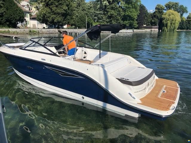 Sea Ray SSE 250
