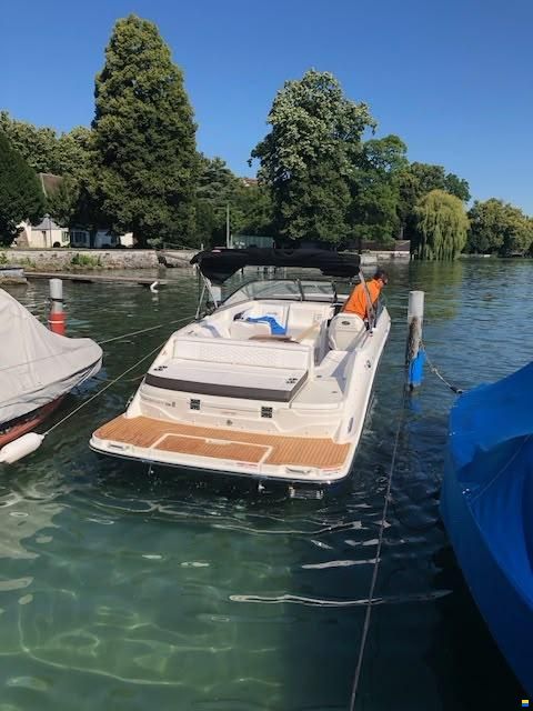 Sea Ray SSE 250