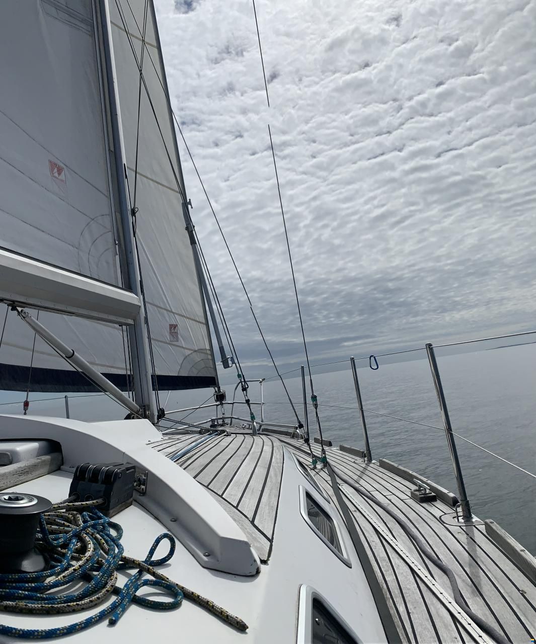 Pegazus 969