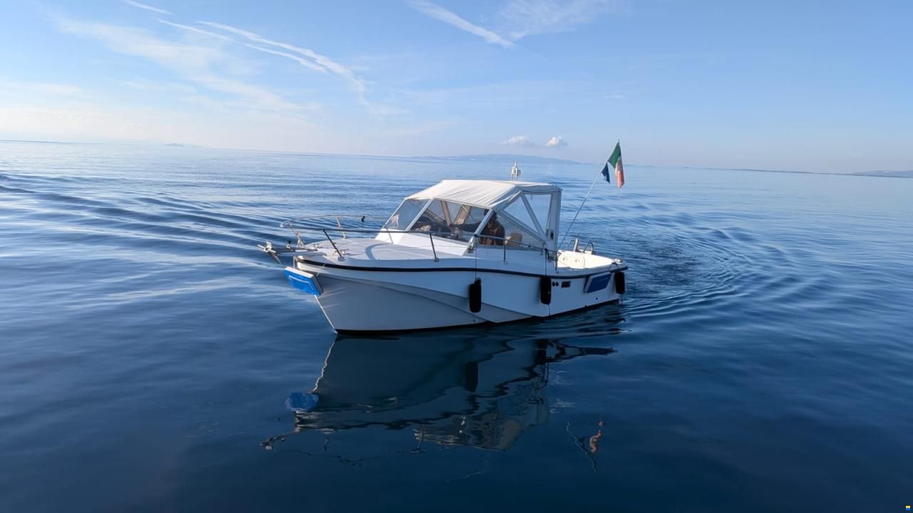 Mare Zeta Phoenix 21