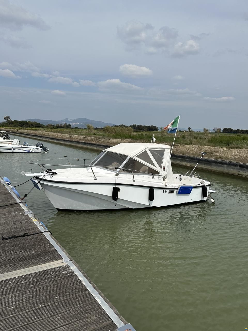 Mare Zeta Phoenix 21