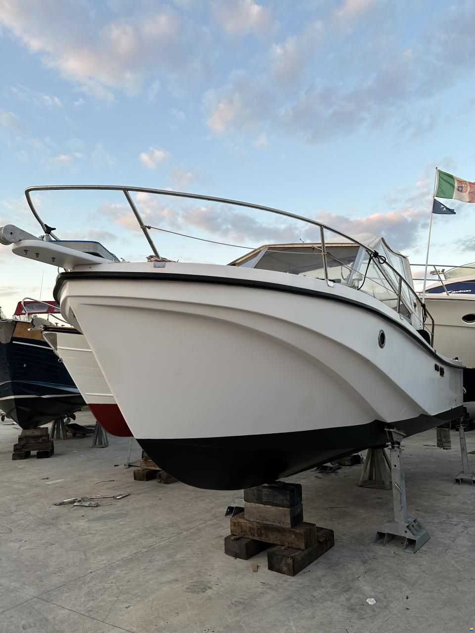 Mare Zeta Phoenix 21