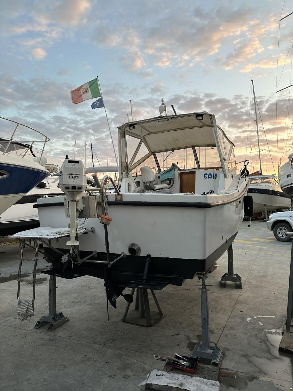 Mare Zeta Phoenix 21