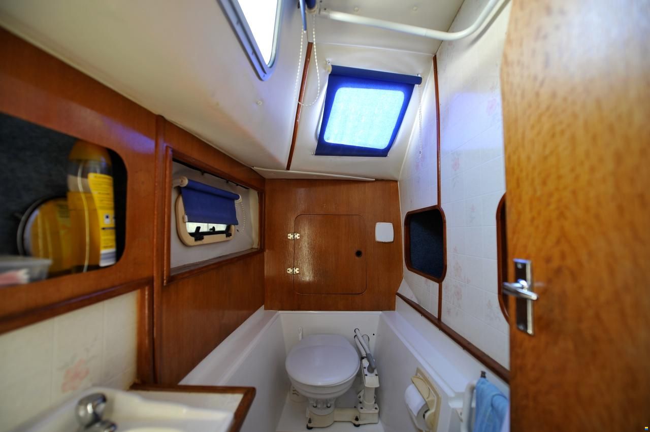 Solaris Sunrice 36