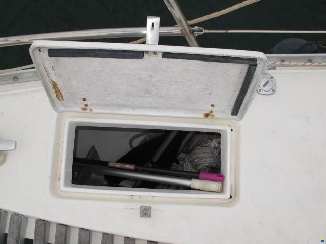 Solaris Sunrice 36