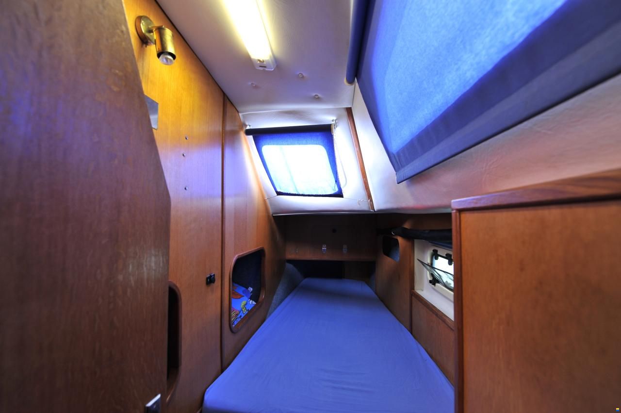 Solaris Sunrice 36