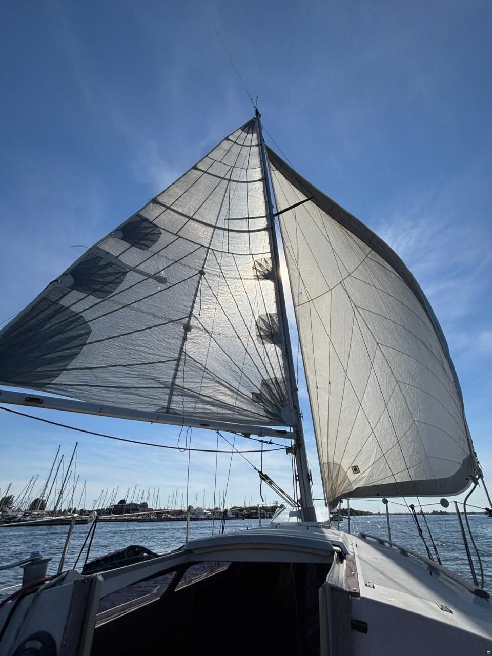 Mallard 9m