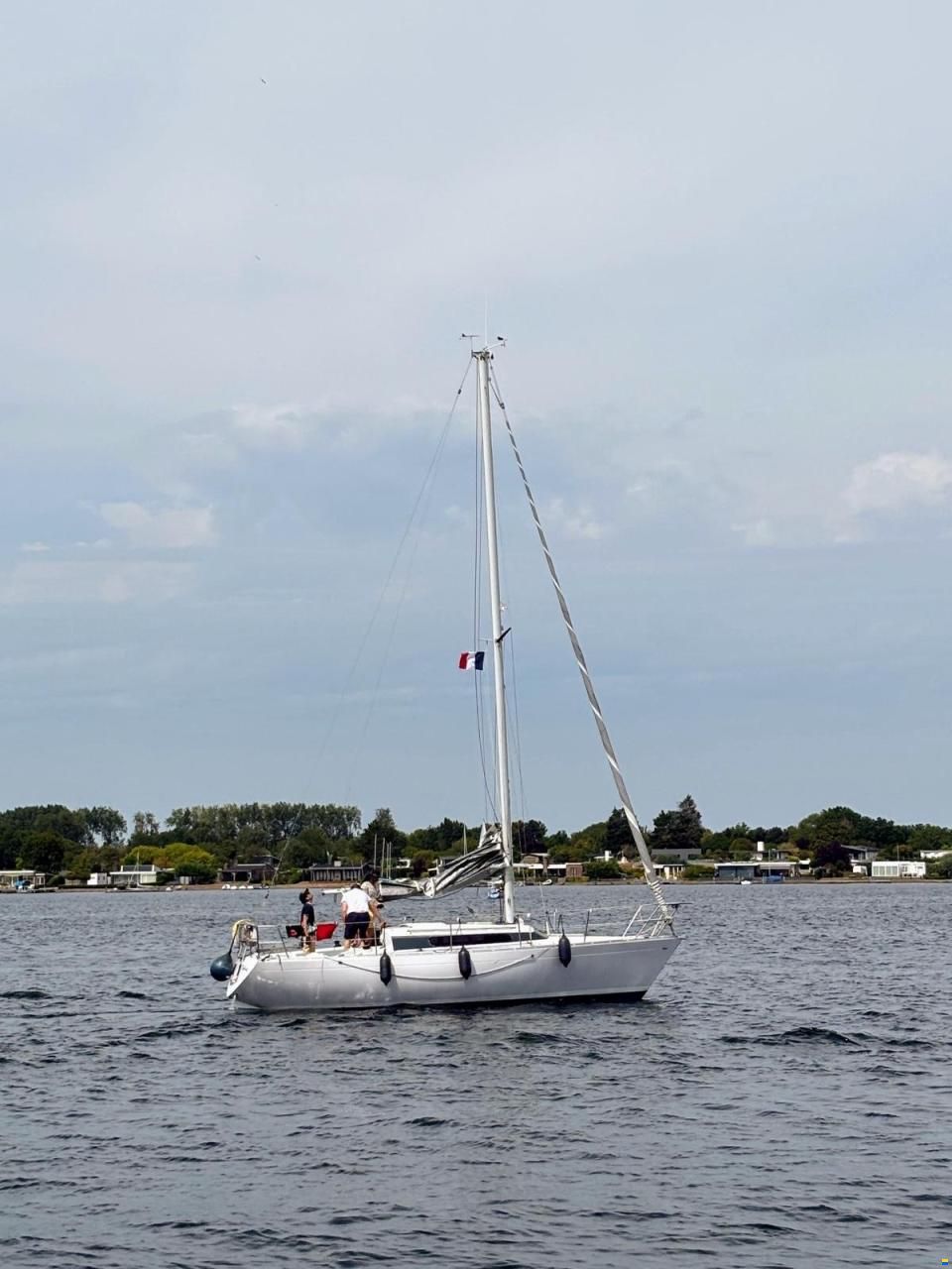 Mallard 9m