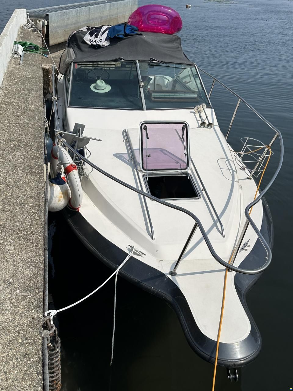 Sea Ray 250 DA
