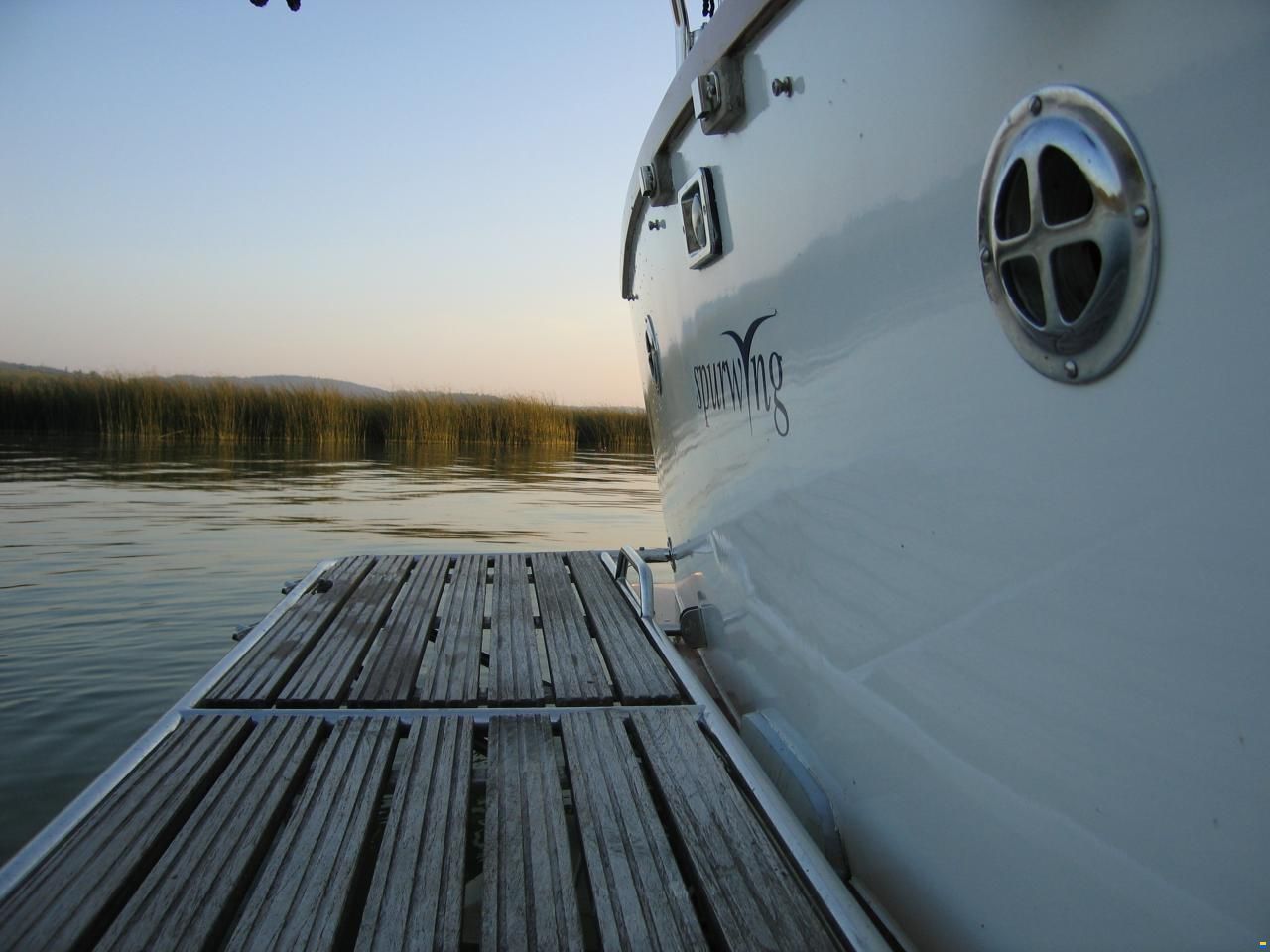Rohn Motoryacht Spurwing
