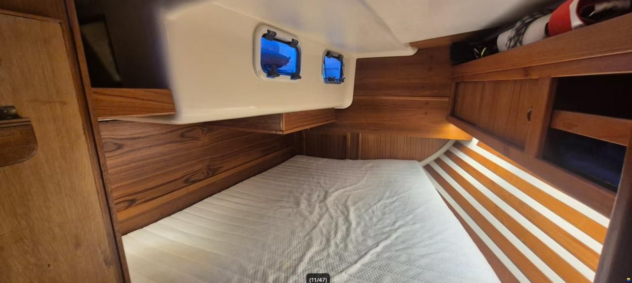 Comfortina 38