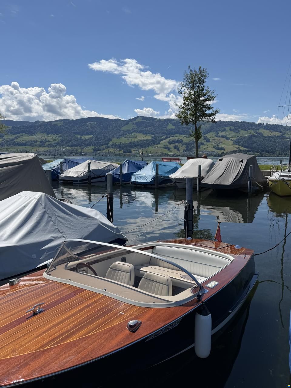 Walser 510