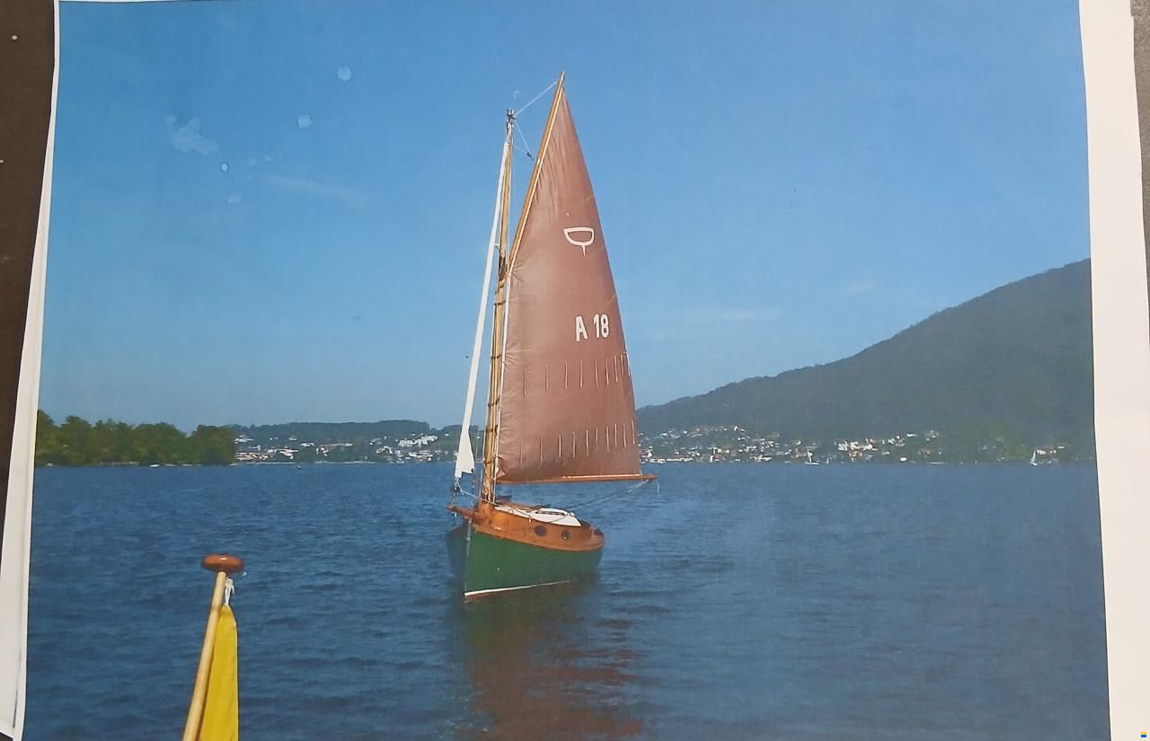 Seezunge A