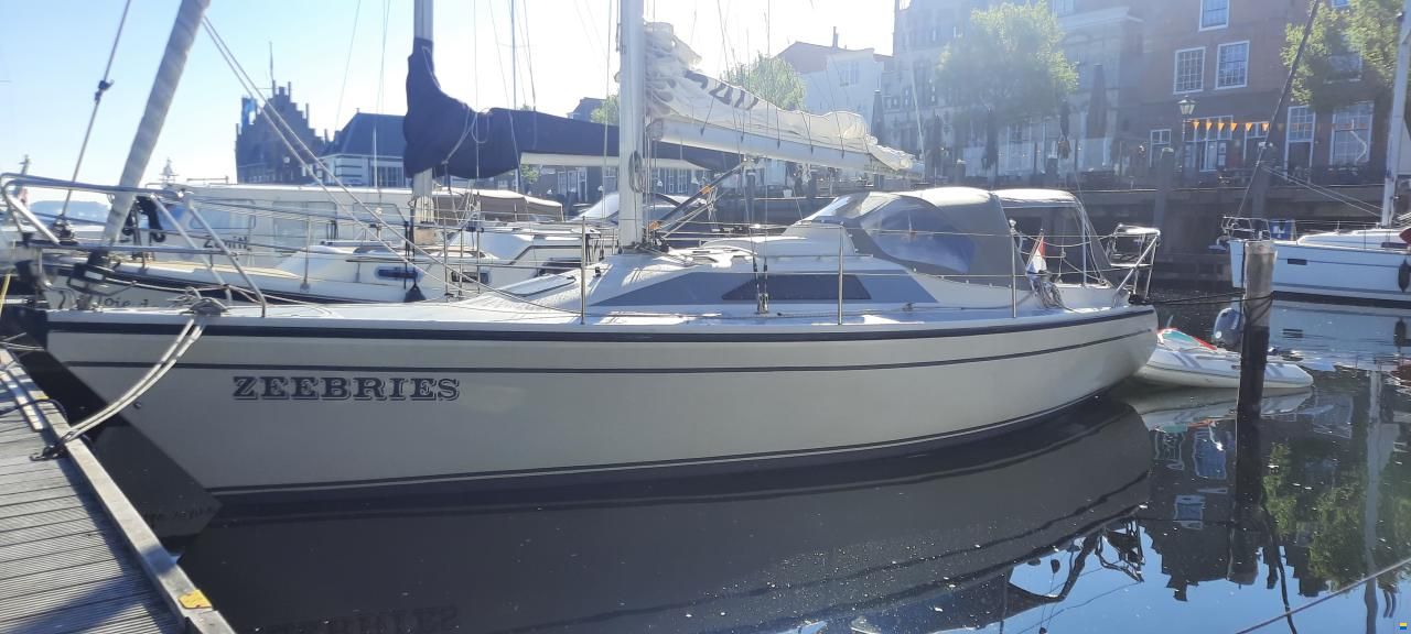 Dehler 31