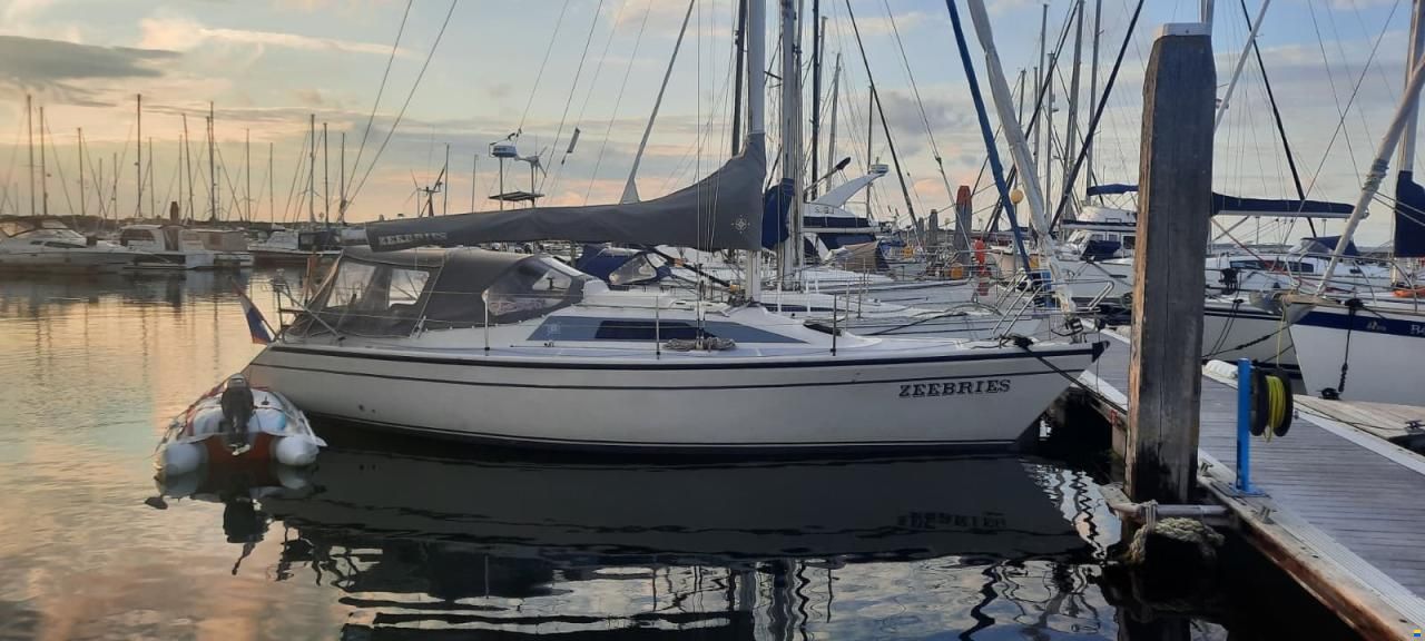 Dehler 31