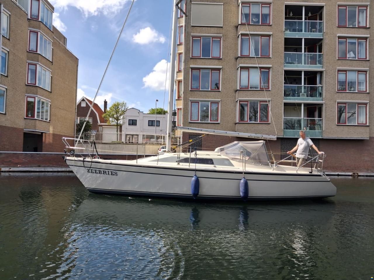 Dehler 31