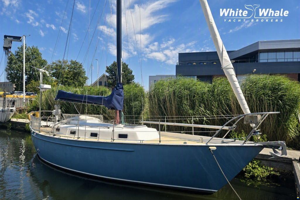 Koopmans 33