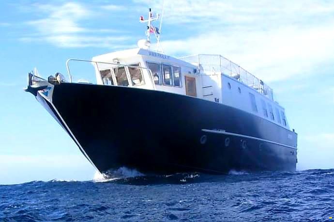 Ascolani Diving