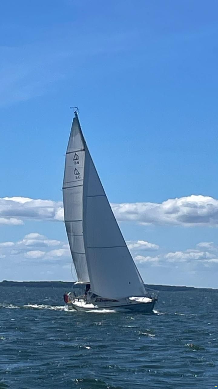 Dehler Optima 106 / Dehler 34