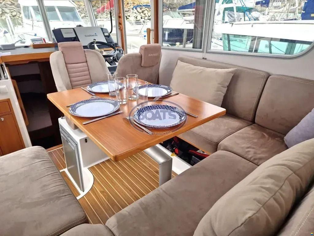 Sargo 31