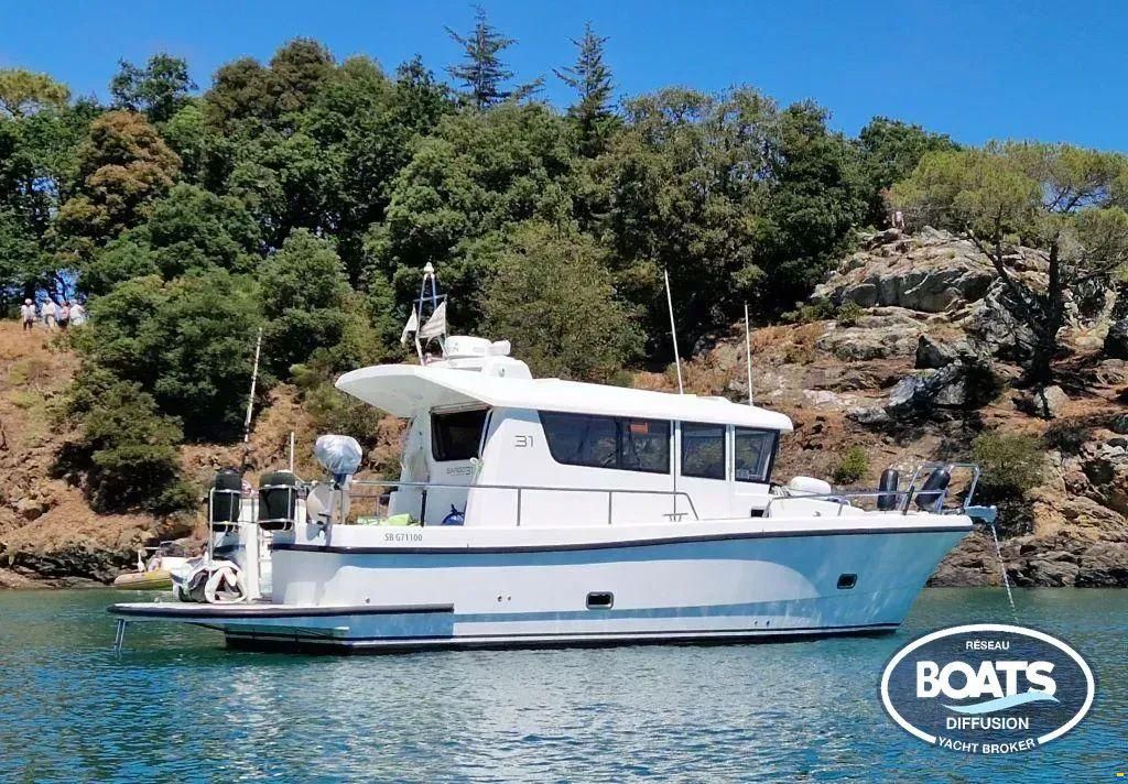 Sargo 31