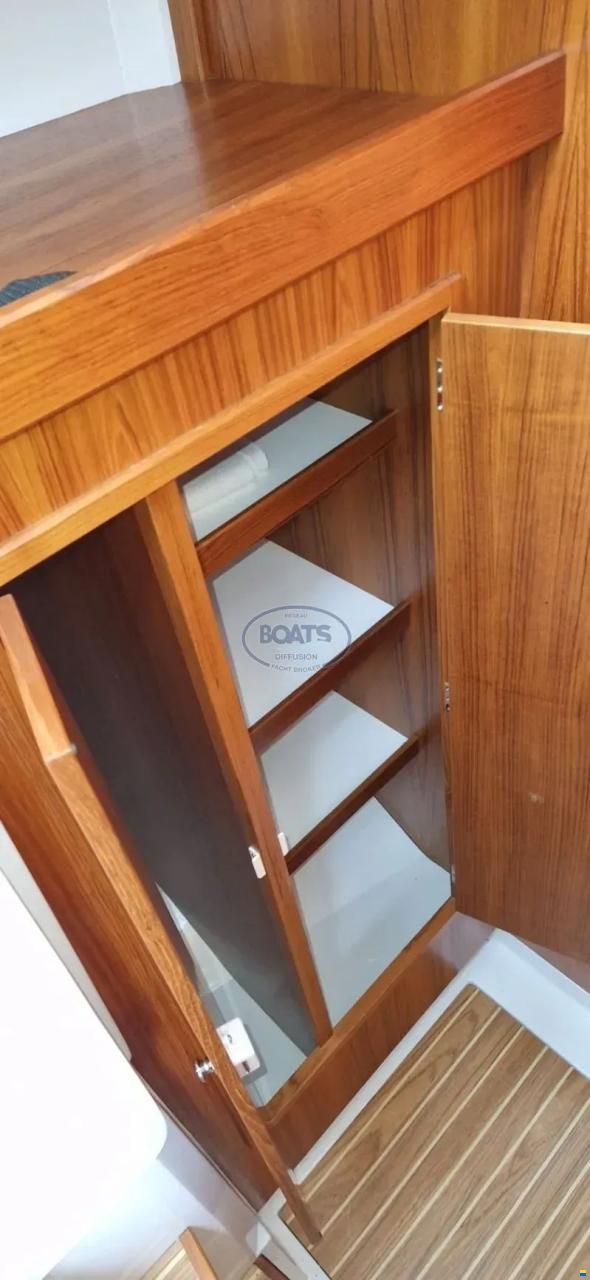 Sargo 31