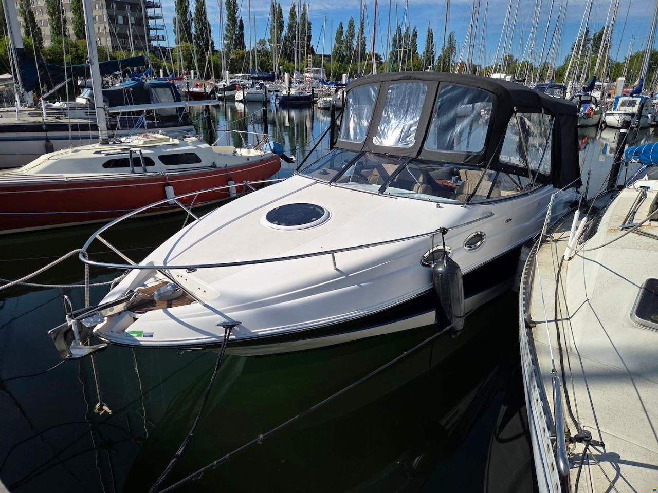 Regal 2650 Cuddy