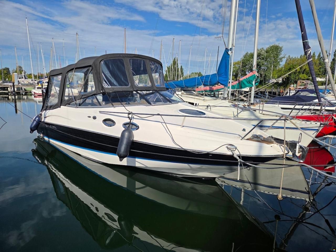 Regal 2650 Cuddy
