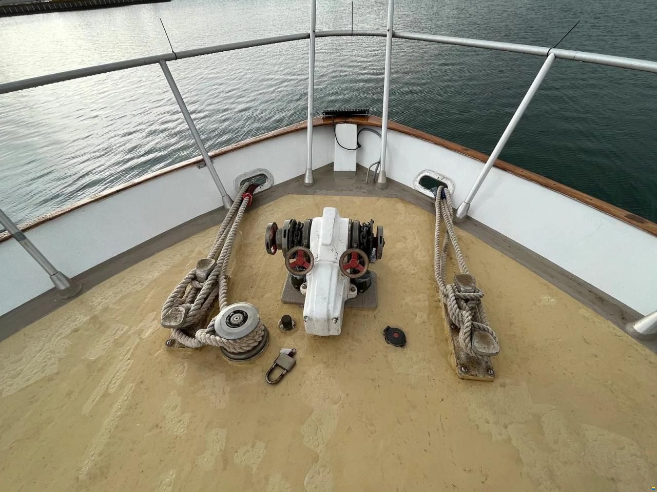 Astondoa 185