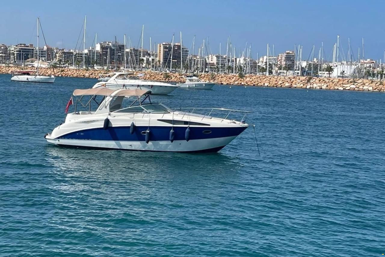 Bayliner 325