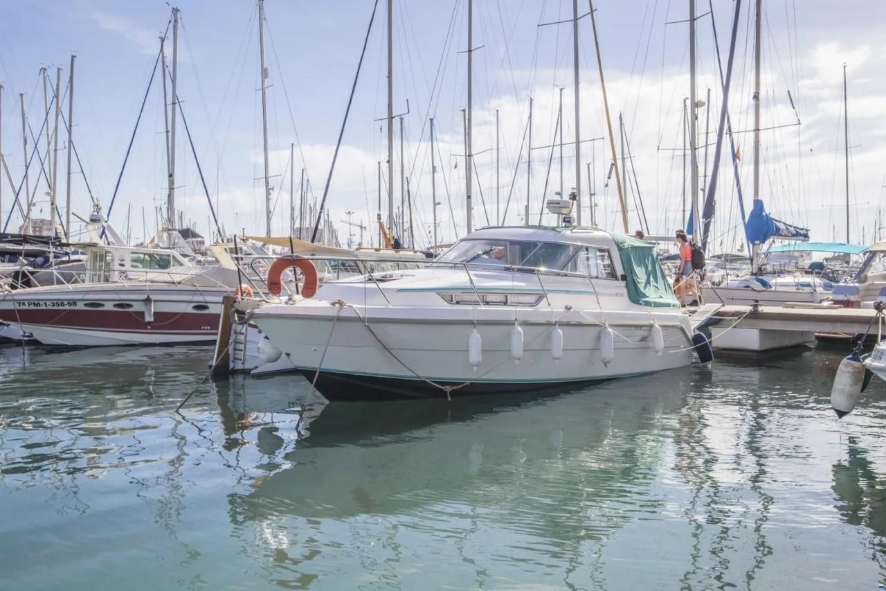 Hardy Seawings 305