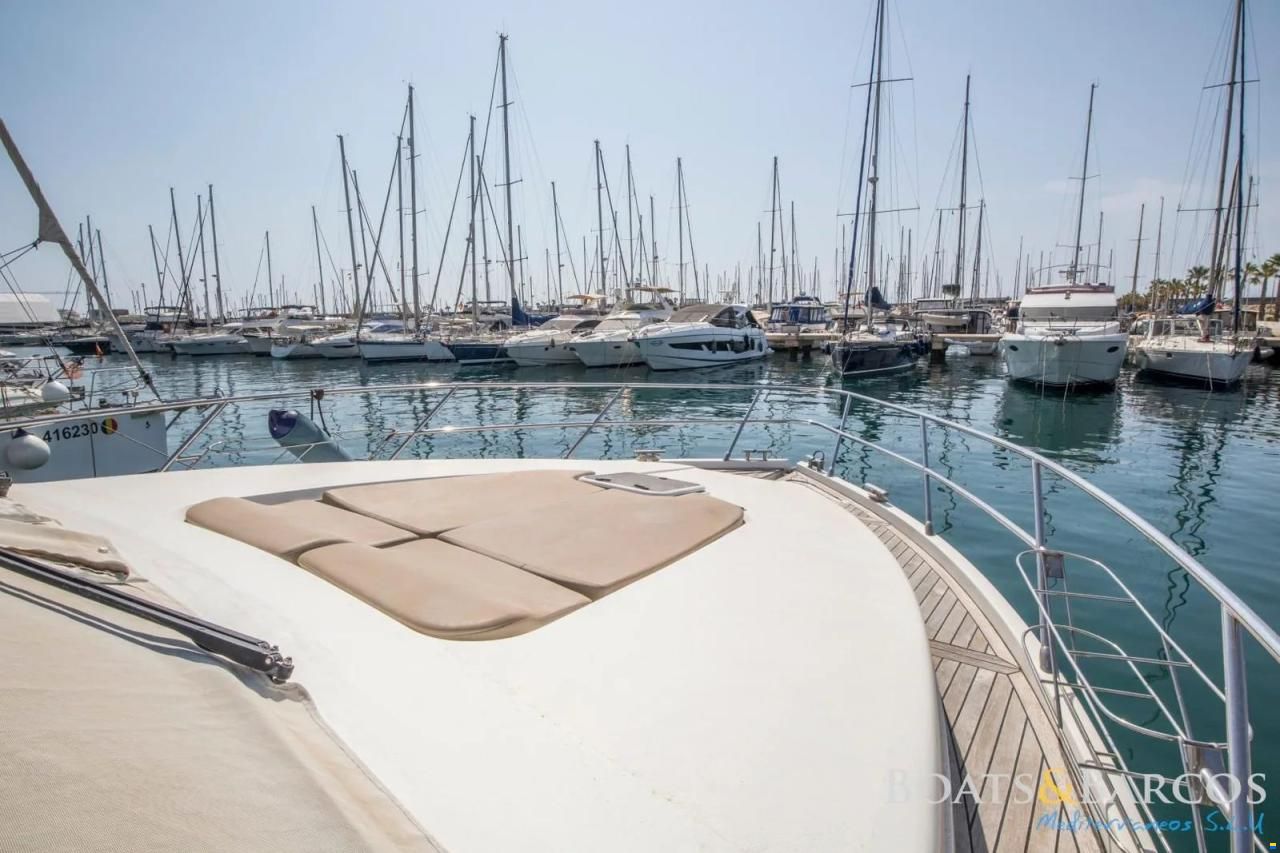 Majesty 56