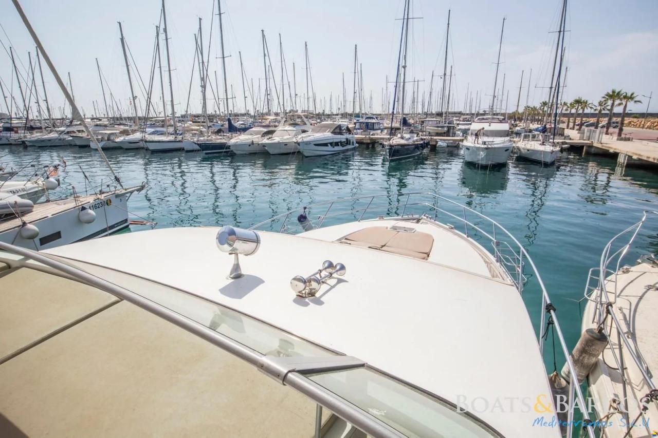 Majesty 56