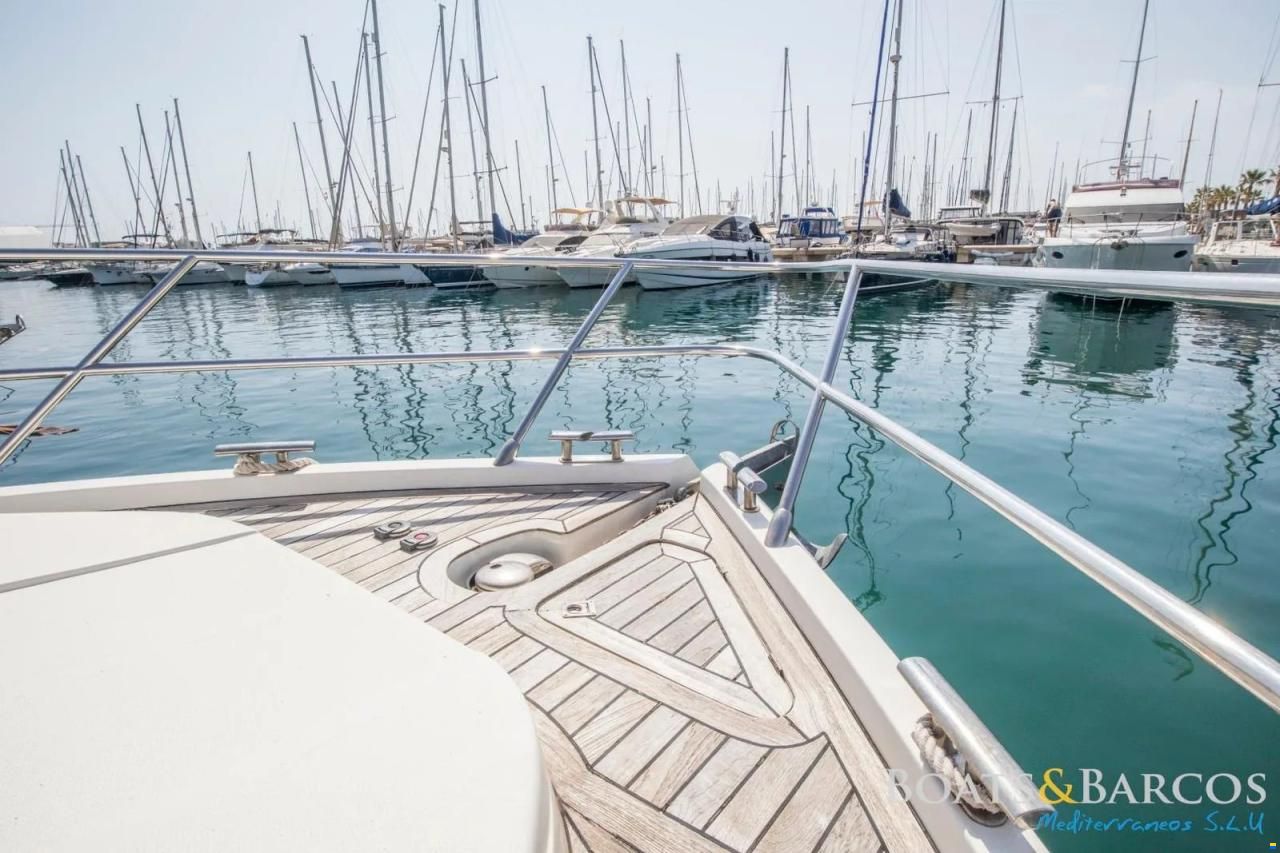 Majesty 56