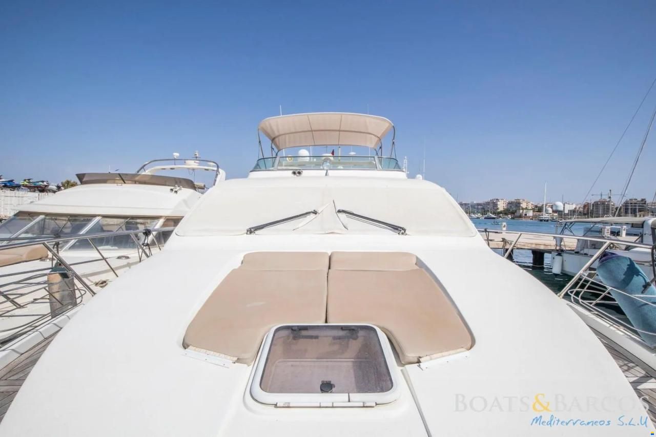Majesty 56
