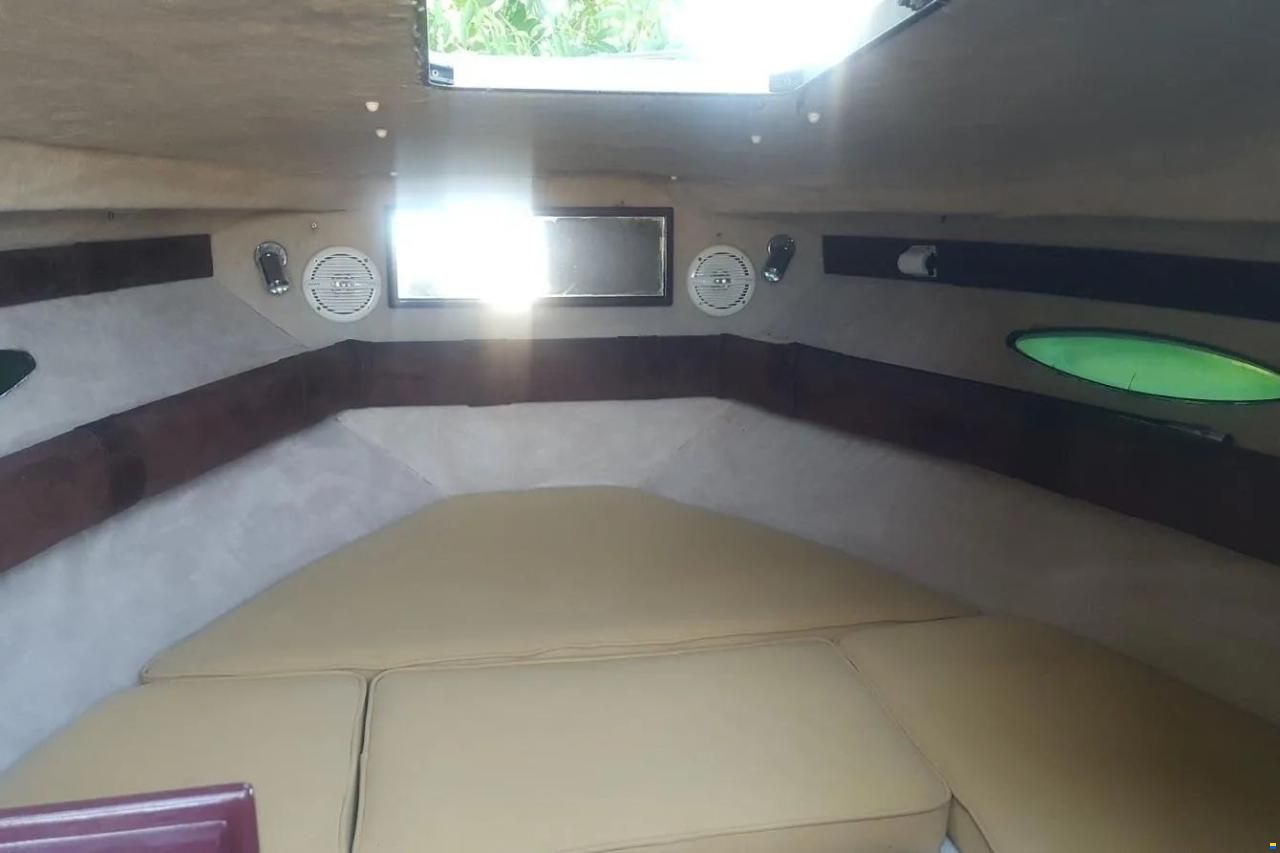 Sea Ray 210